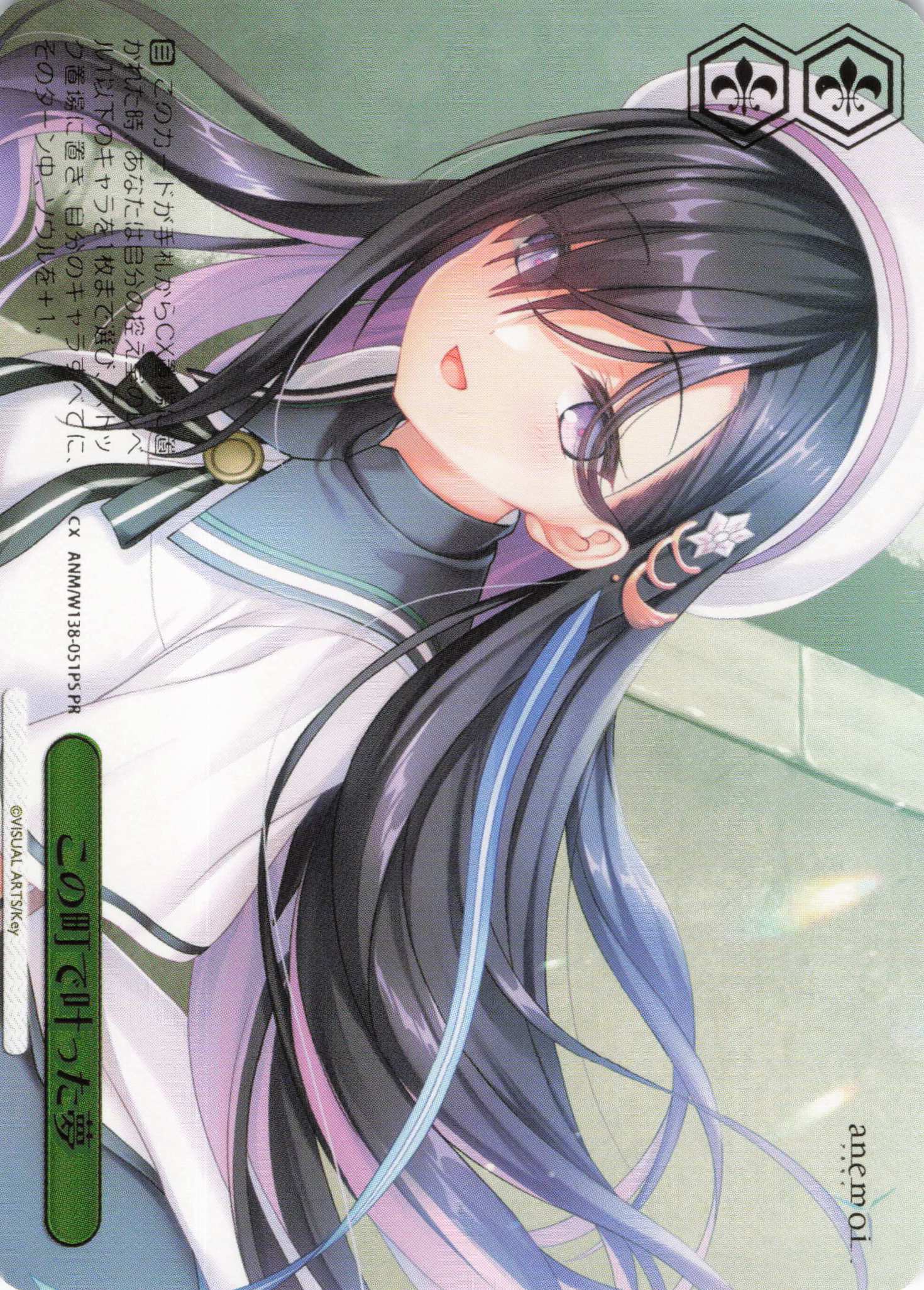 この町で叶った夢(PR)(ANM/W138-051PS)